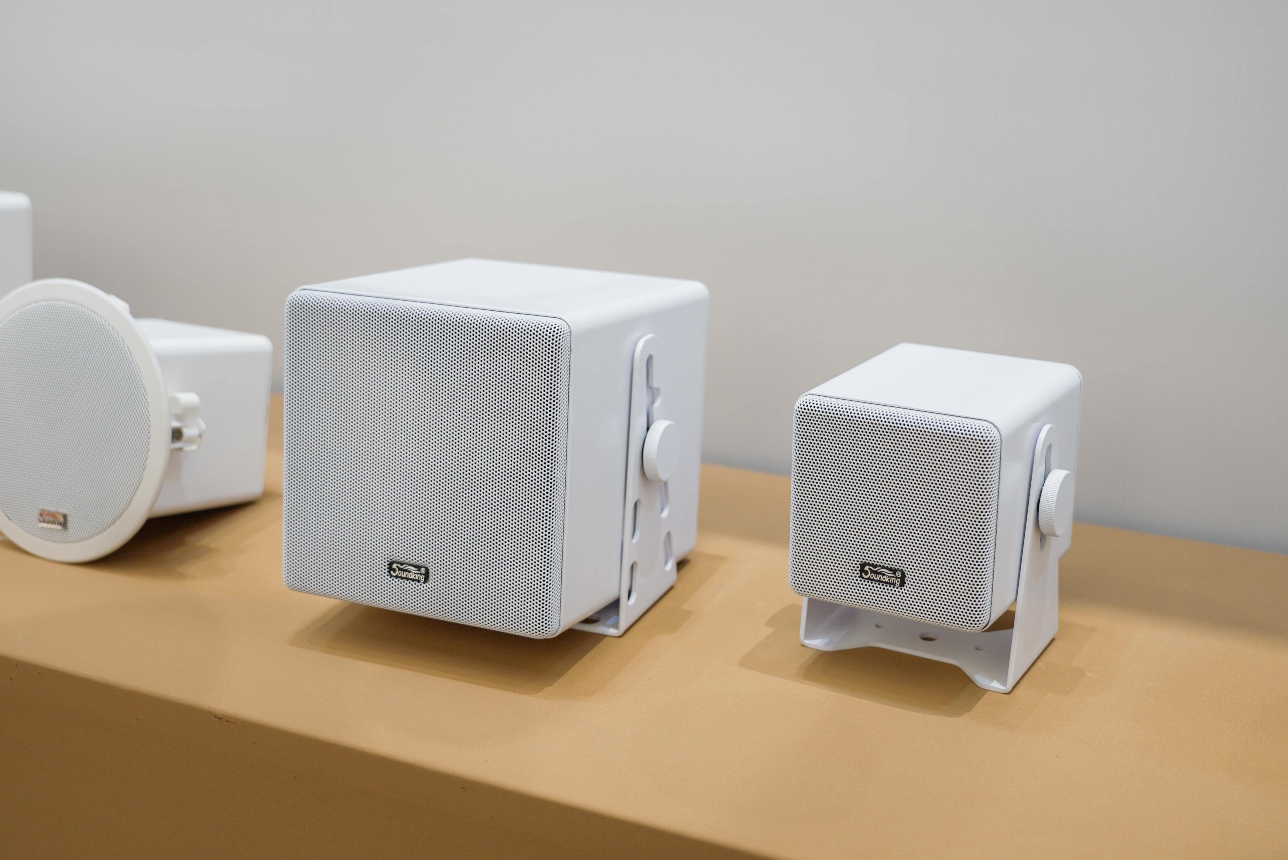 巡展第三站 | 直擊2024音王音視頻科技成果全國展銷會(廈門站)，現場精彩持續放送