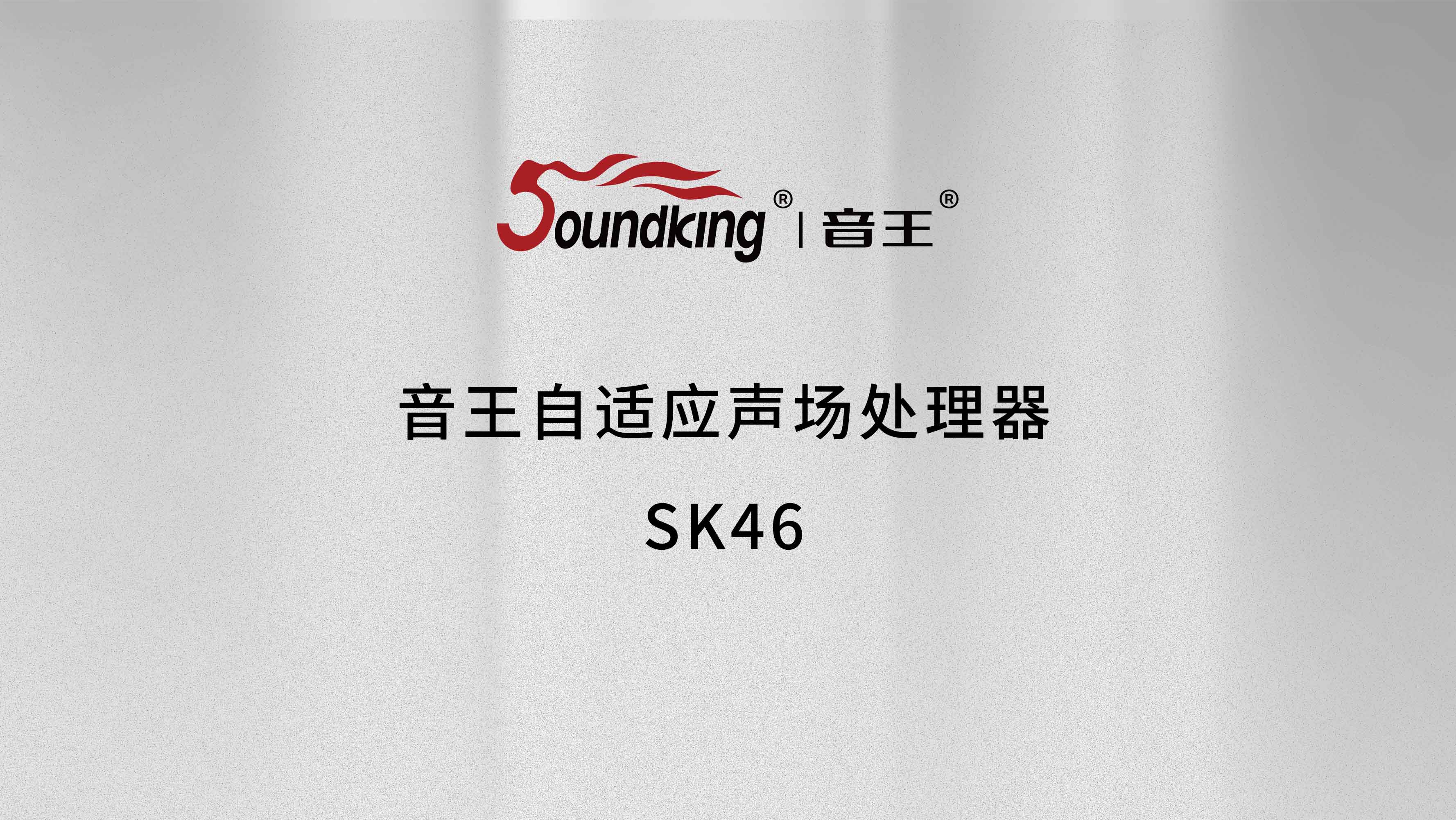 音王自適應聲場處理器SK46 音王自適應聲場處理器SK46