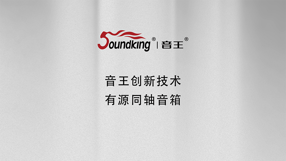 音王創新技術有源同軸音箱 音王創新技術有源同軸音箱